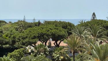 Sacoro 318 - Photo 5