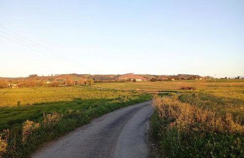 El Pinar de Arna - Photo 57