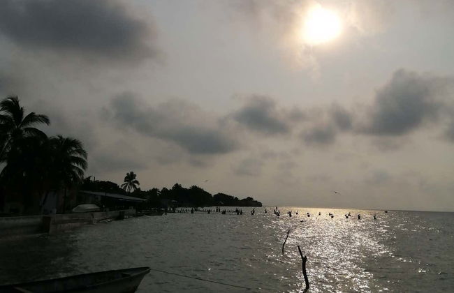 Giro in barca sulla laguna di Términos - Foto 7