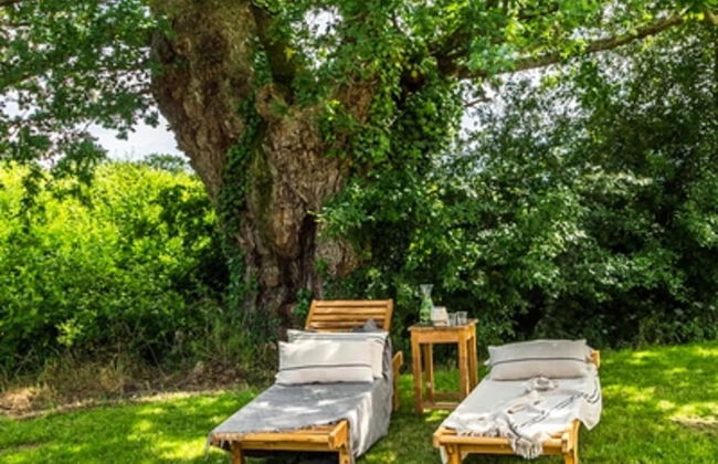 Spacious Villa With Large Garden - Foto 15