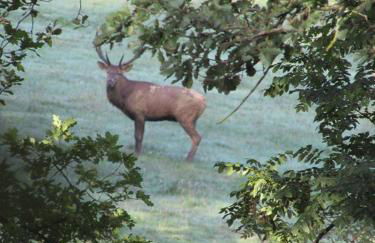 La Résidence de Lorelei - Foto 15