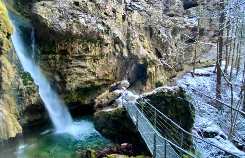 Fewo Längerer - Foto 19