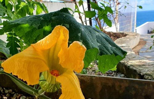 Casa do Maracuja - Foto 57