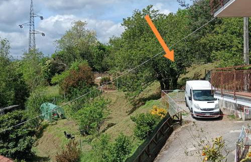 Ilgattonero - Foto 34