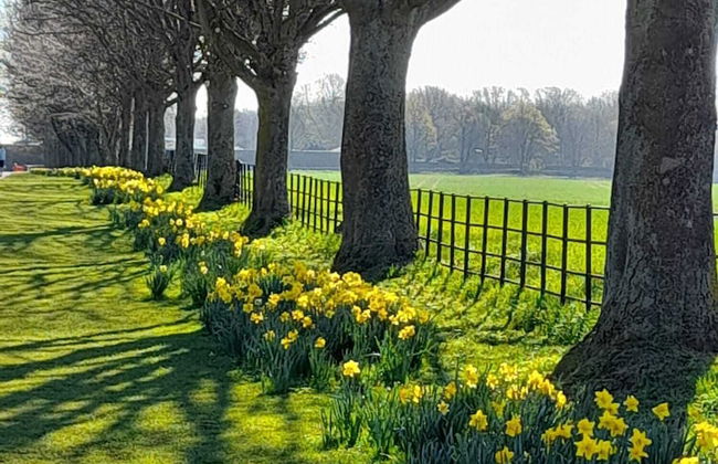 Charming Wentworth Lodge With Countryside Views - Photo 26