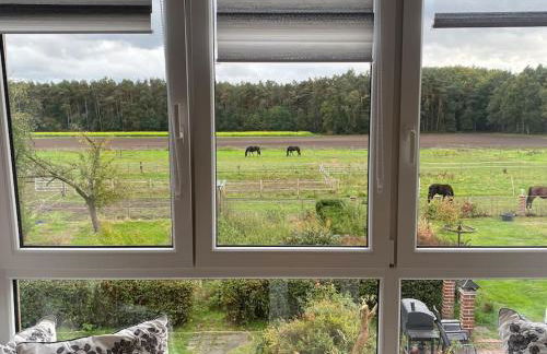 Wunderschöne Ferienwohnung auf dem Bauernhof - Foto 24
