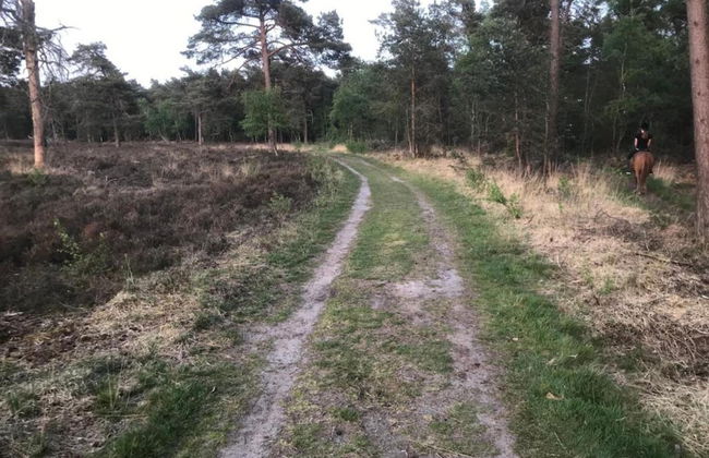 Stylish Stay in Vorden Woods - Foto 43