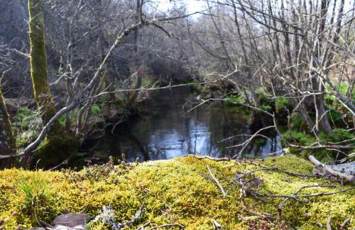 Casa da Escola By Villa Regalenga - Foto 26