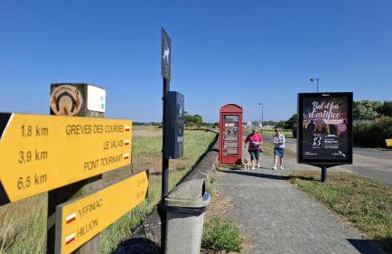 O nid des greves - Foto 42