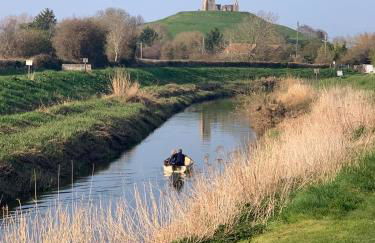 The Nest at Walnut Cottage - Foto 29