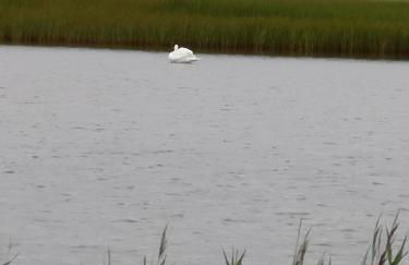 Ferienappartements Marina Wendtorf an der Ostsee - Foto 26