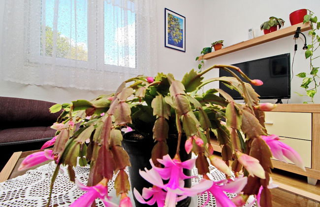 Apartments Nodilo - Foto 28