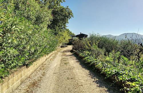 Relax e natura - Foto 30