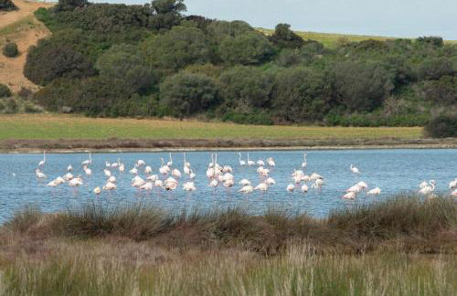 Villa la Torre Libeccio - Photo 78