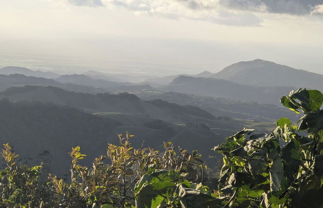 Campos de Oro Wilderness Lodge - Photo 28