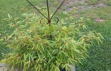 FeWo Aigner - Foto 36