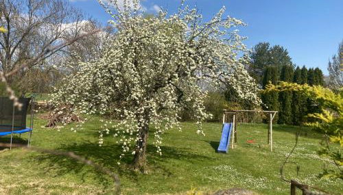 Familienfreundliche Unterkunft direkt am Nationalpark unteres Odertal - Foto 2, Garden