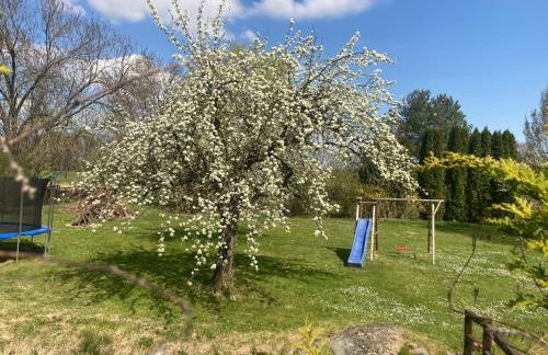 Familienfreundliche Unterkunft direkt am Nationalpark unteres Odertal - Photo 2