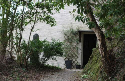 Pretty sunny cottage, Machynlleth - Photo 23