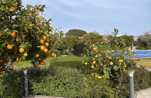 La Casetta di Lollò - Foto 56