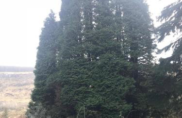 Ballymacdoe Cottage Cushendall - Foto 33