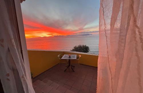 Bela Vigia - Foto 60