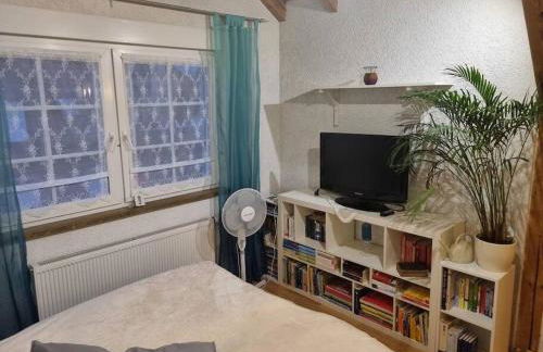 Gemütliche Dachgeschosswohnung - Foto 15