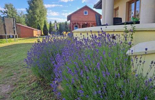 Noclegi "LAS WYPAS" Trzcianka - Foto 50