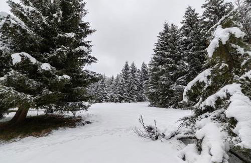 Studio Cosy pour 4 personnes en RDC - Foto 14