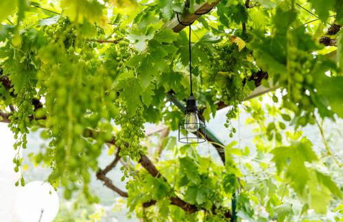 Holiday Home Ca da Nair by Interhome - Foto 28