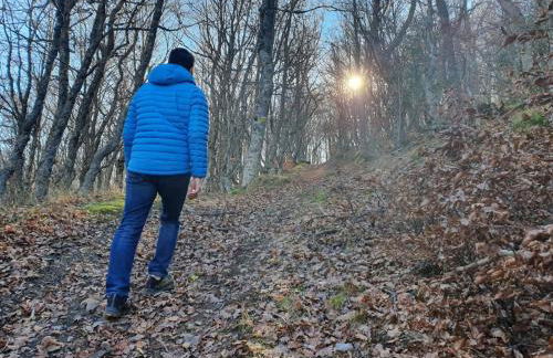 Paraíso Desconocido 6 El Sueño de Valcabe - Foto 11