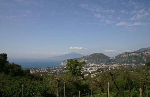 Gli Ulivi Agriturismo - Foto 108