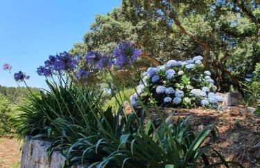 Casinha Laranja - Foto 41