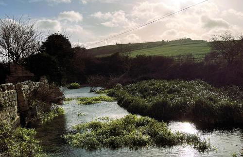 Agua de Plata, 16 Wakeling Island, Silverlake - Photo 39