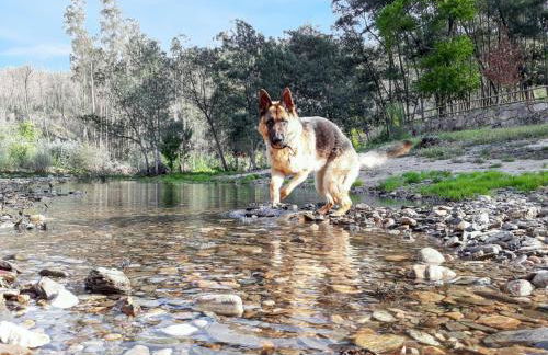 Welcoming house in Águeda with shared pool 70 m² - Foto 9