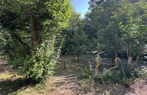 Charmante maison Landaise - Foto 27