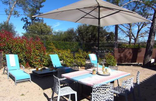 Vigne et cigale - Foto 4