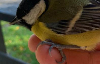 Milton Bay Luxury lodge wrapped in exceptional scenery - Foto 23