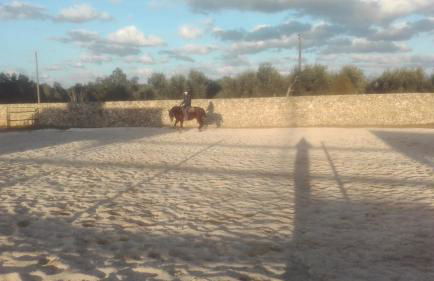 Masseria Sucéa - Foto 37