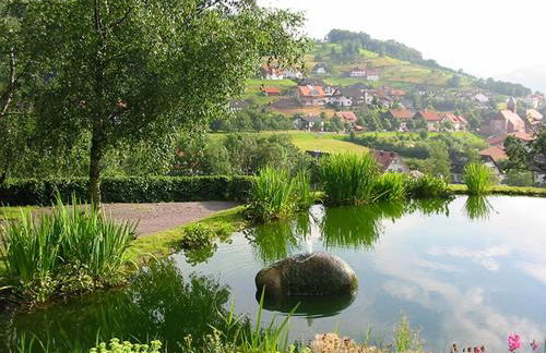 Schnurrenhof - Foto 36