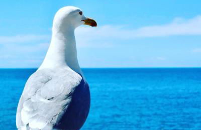 Casa Vacanze La Casetta di Zinu' - Foto 26