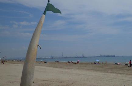 Playa y golf La Pineda - Photo 48