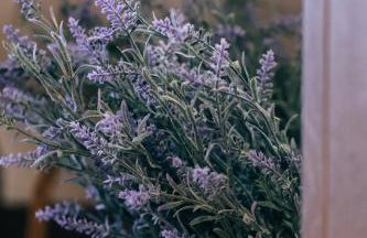 Alexi's House - Photo 33