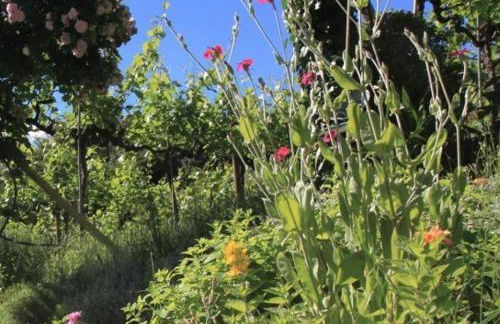 Millenniumshof - Foto 20