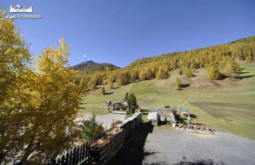 Casa Florin Giumel by Livigno Accomodation - Foto 38