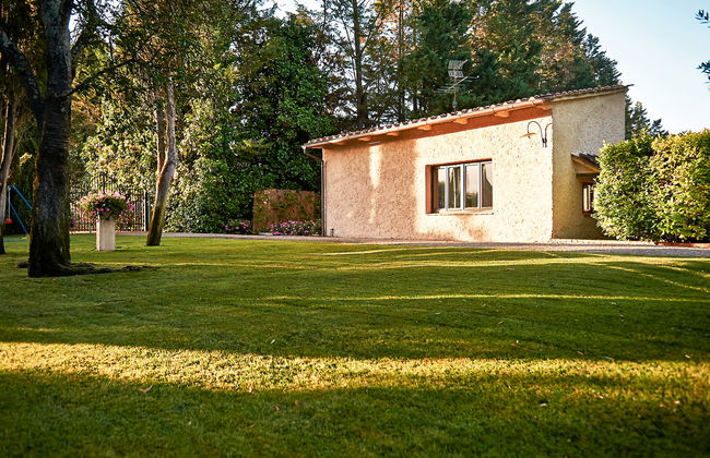 Bardeggiano - Caterina 8 (COL243) - Foto 26