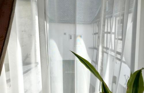 Fewo Zur Goldenen Traube - Foto 53