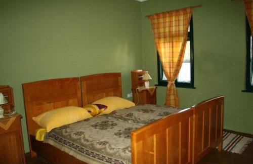 Seoski Turiziam Larva - Photo 29