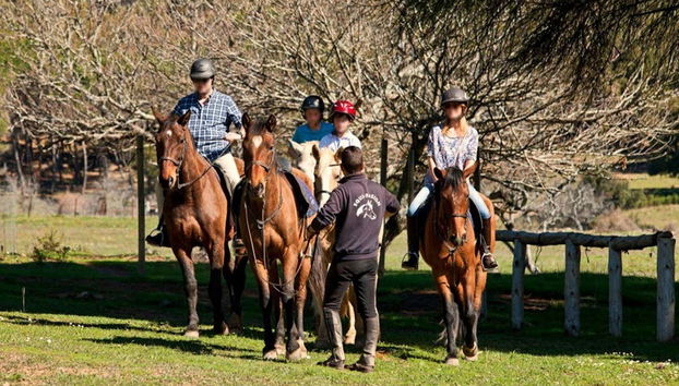 Sierra de Grazalema Horse Riding Tour - Foto 5