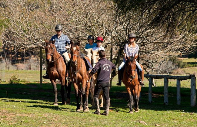 Sierra de Grazalema Horse Riding Tour - Foto 5